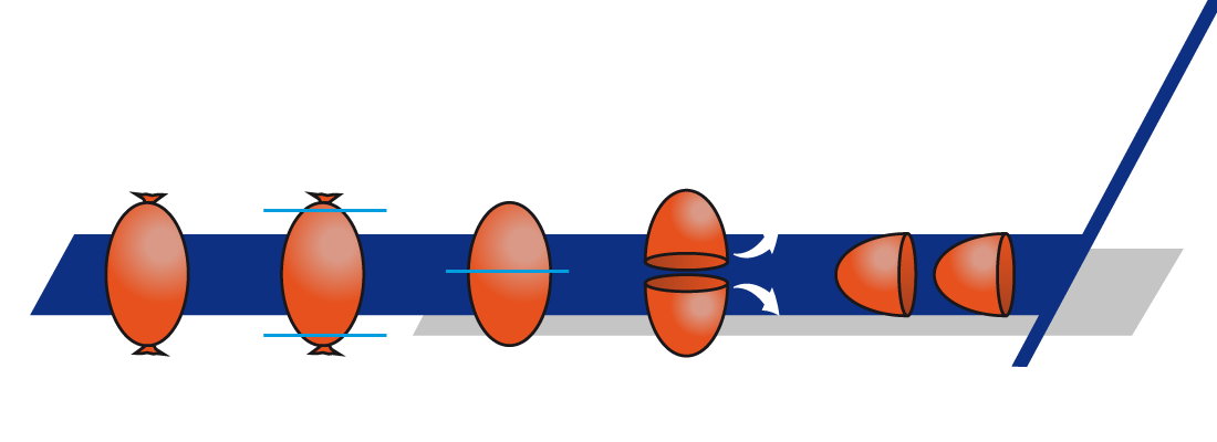 il processo produttivo della decplippatrice EMMEBI food Machinery